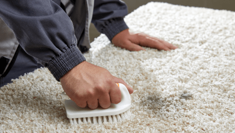 Professional Rug Cleaning Red Hill South